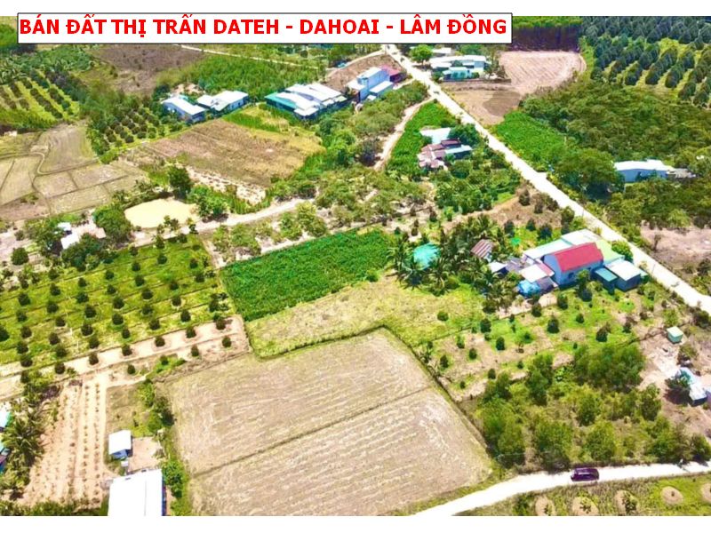 Bán đất thị trấn Dateh – Dahoai – Lâm Đồng, ngang 8 x20 full thổ giá chỉ 299tr