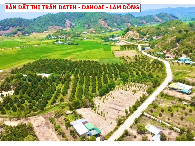 Bán đất thị trấn Dateh – Dahoai – Lâm Đồng, ngang 8 x20 full thổ giá chỉ 299tr