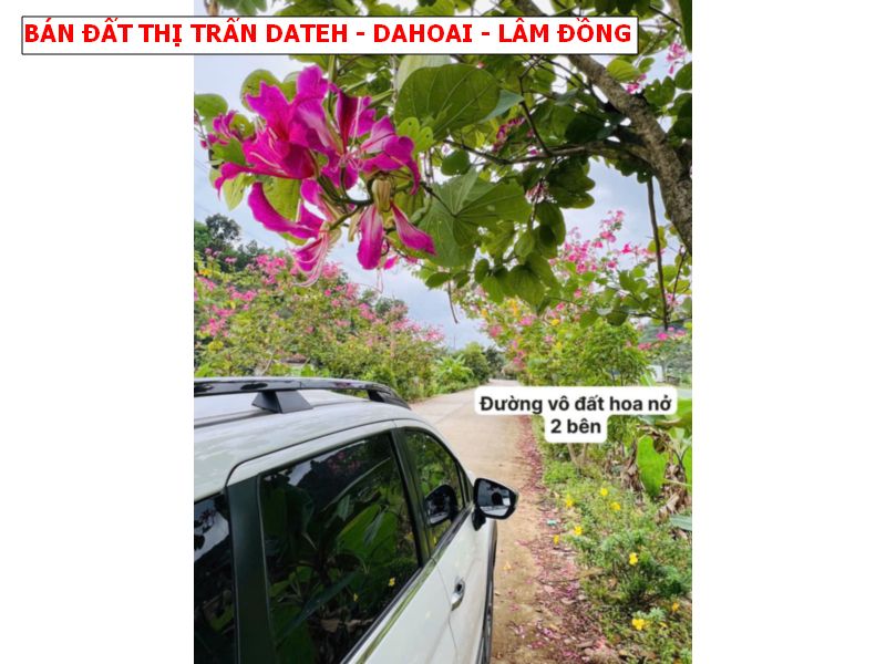 Bán đất thị trấn Dateh – Dahoai – Lâm Đồng, ngang 8 x20 full thổ giá chỉ 299tr