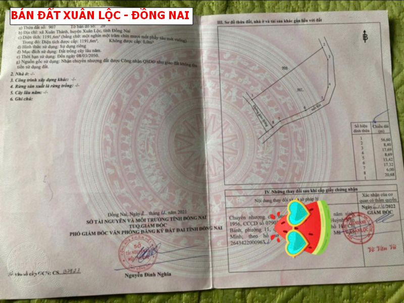 Bán đất Xuân Thành, Xuân Lộc 1190m2 giáp suối giá chỉ 599tr