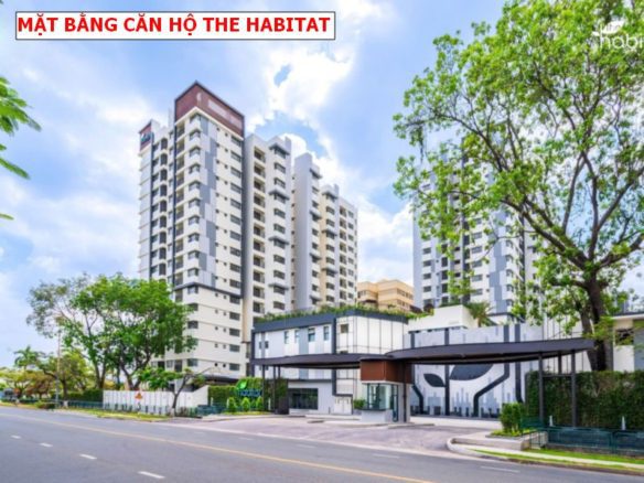 Mặt bằng căn hộ The Habitat Bình Dương – Thiết kế tối ưu, đa dạng lựa chọn