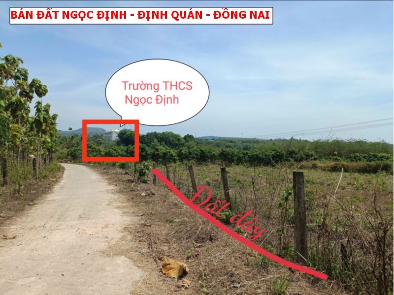 Bán đất Ngọc Định – Định Quán, 5 nền thổ cư giá f0