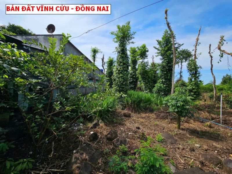 Bán đất Thị Trấn Vĩnh An, Vĩnh Cửu, Đồng Nai giá chỉ 950tr/ 603m2