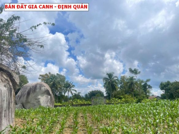 Bán đất Gia Canh, Định Quán, hơn 4200m2 giá chỉ 2 tỷ