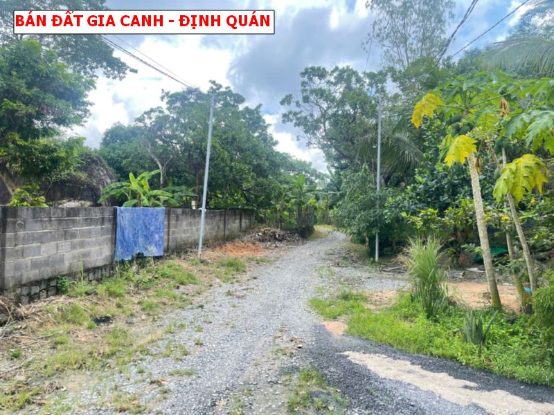 Bán đất Gia Canh, Định Quán, hơn 4200m2 giá chỉ 2 tỷ