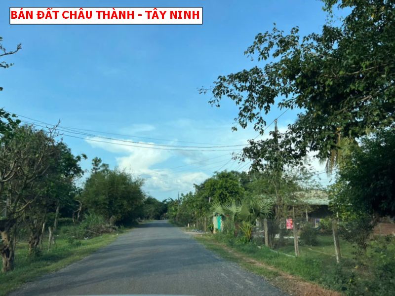 Bán đất mặt tiền nhựa Châu Thành – Tây Ninh giá chỉ 250tr