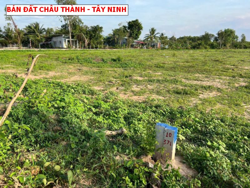 Bán đất mặt tiền nhựa Châu Thành – Tây Ninh giá chỉ 250tr