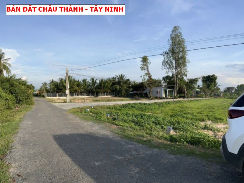 Bán đất mặt tiền nhựa Châu Thành – Tây Ninh giá chỉ 250tr