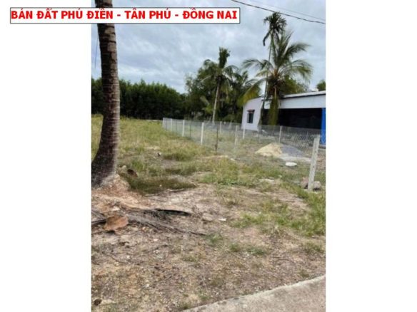 Bán đất Phú Điền – Tân Phú – Đồng Nai, 5 x 27 full thổ cư giá chỉ 380tr
