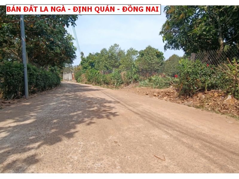 Bán vườn Sầu La Ngà, chỉ còn 1 lô cuối giá 580tr