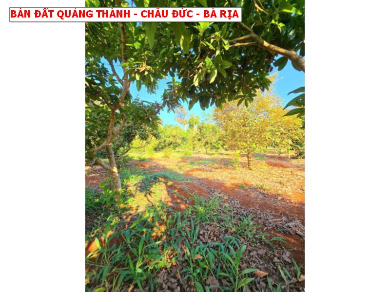 Bán đất Quảng Thành – Châu Đức – Bà Rịa giá chỉ 5xxtr, mặt tiền nhựa siêu đẹp