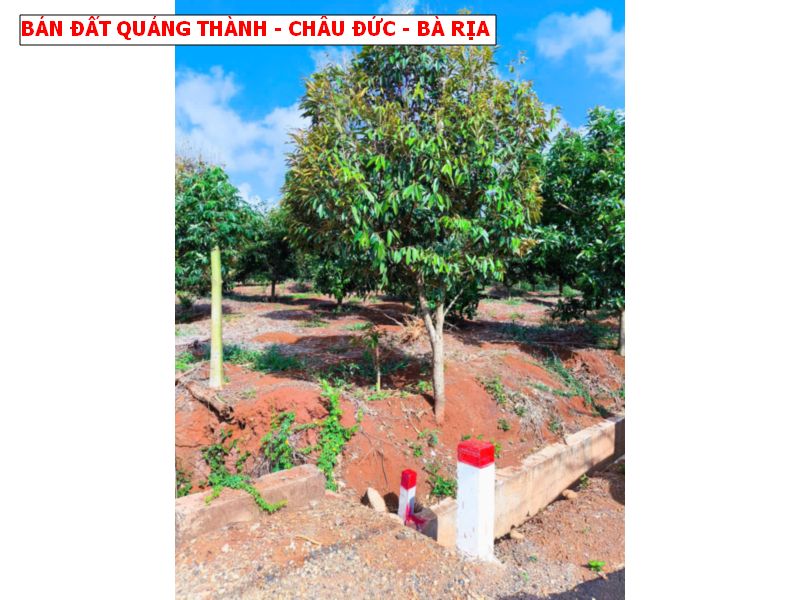 Bán đất Quảng Thành – Châu Đức – Bà Rịa giá chỉ 5xxtr, mặt tiền nhựa siêu đẹp