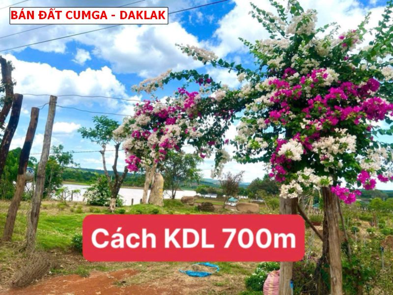Bán đất Eakueh, Cumga, Daklak, gần khu du lịch buôn Wing giá chỉ 249tr