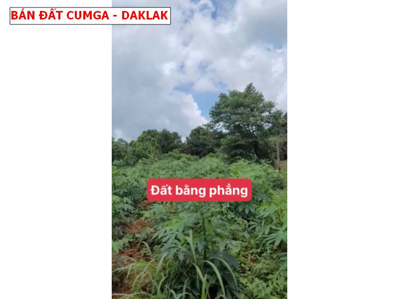 Bán đất Eakueh, Cumga, Daklak, gần khu du lịch buôn Wing giá chỉ 249tr