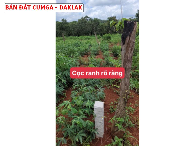 Bán đất Eakueh, Cumga, Daklak, gần khu du lịch buôn Wing giá chỉ 249tr