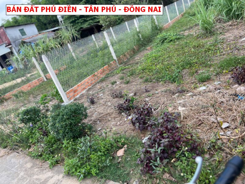 Bán đất Phú Điền – Tân Phú – Đồng Nai, vị trí đẹp giá chỉ 6xxtr