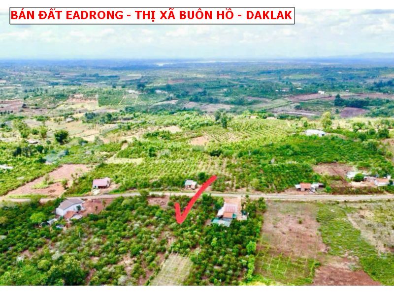 Bán đất mặt tiền nhựa Eadrong, Thị xã buôn Hồ, Daklak giá chỉ 239tr