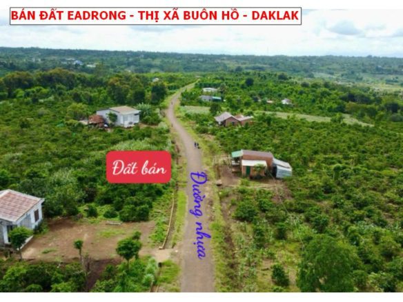 Bán đất mặt tiền nhựa Eadrong, Thị xã buôn Hồ, Daklak giá chỉ 239tr