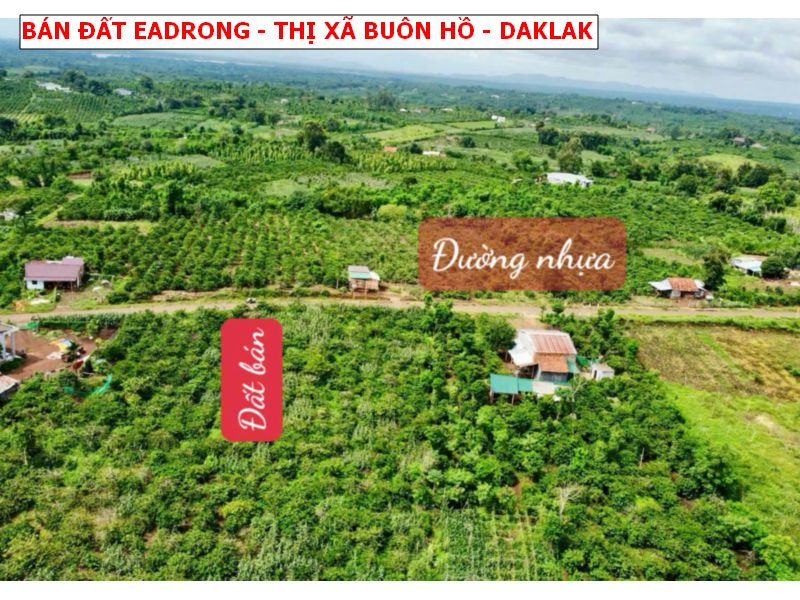 Bán đất mặt tiền nhựa Eadrong, Thị xã buôn Hồ, Daklak giá chỉ 239tr