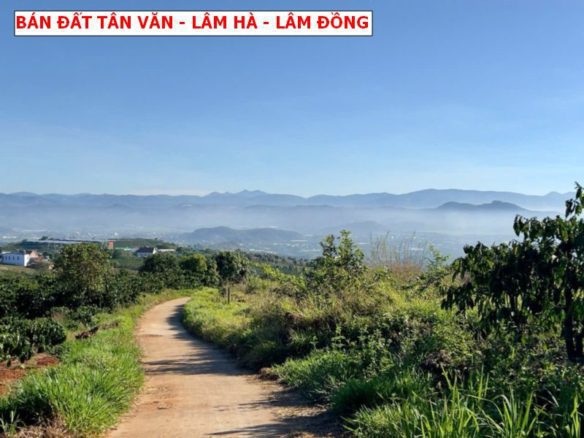Bán đất Tân Văn, Lâm Hà, Lâm Đồng view săn mây giá 429tr/ lô
