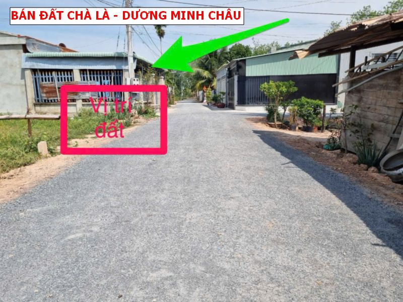 Bán đất Chà Là – Dương Minh Châu vị trí đẹp giá chỉ 4xxtr
