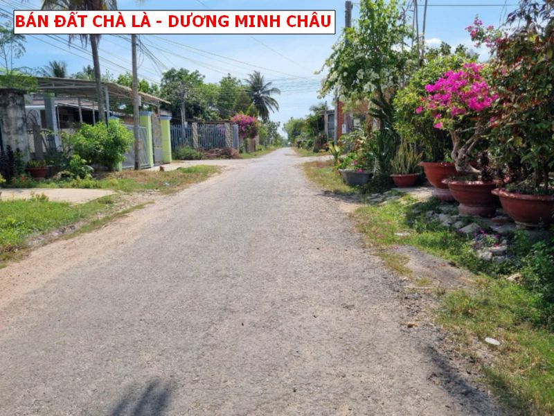 Bán đất Chà Là – Dương Minh Châu vị trí đẹp giá chỉ 4xxtr