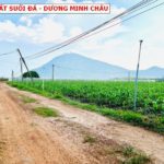 Tính chất