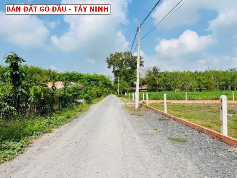 Bán đất Thạnh Đức- Gò Dầu – Tây Ninh, 5 x23 full thổ cư, đường nhựa giá chỉ 450tr bao sổ