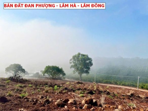 Bán đất Đan Phượng, Lâm Hà, Lâm Đồng, view săn mây giá chỉ 399tr