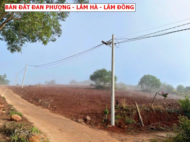 Bán đất Đan Phượng, Lâm Hà, Lâm Đồng, view săn mây giá chỉ 399tr