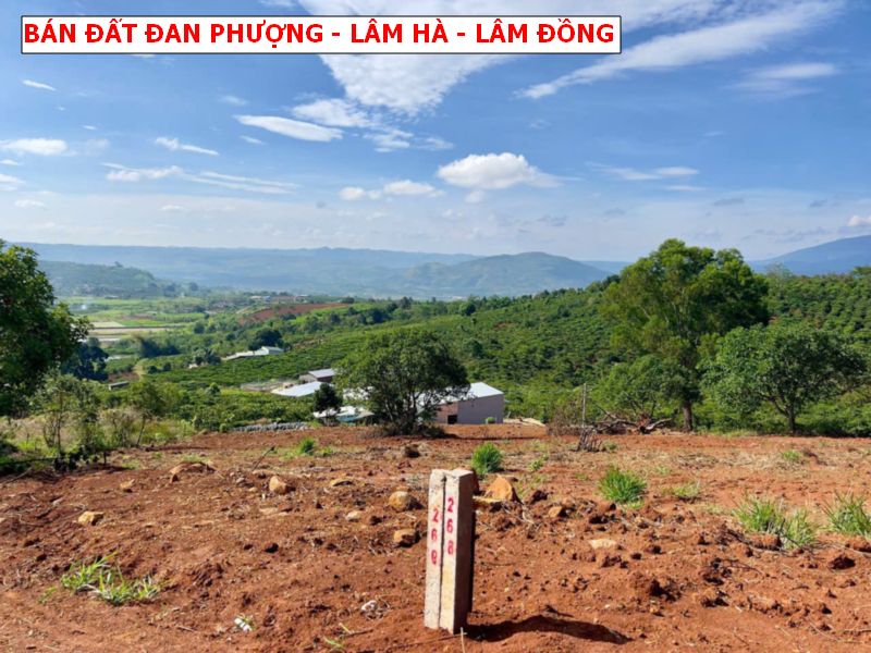 Bán đất Đan Phượng, Lâm Hà, Lâm Đồng, view săn mây giá chỉ 399tr