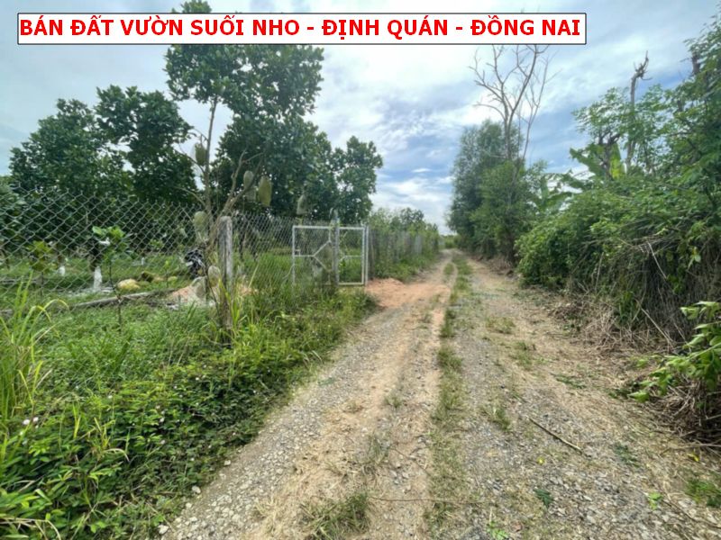 Bán đất vườn Suối Nho – Định Quán giá chỉ 500tr/1000m2