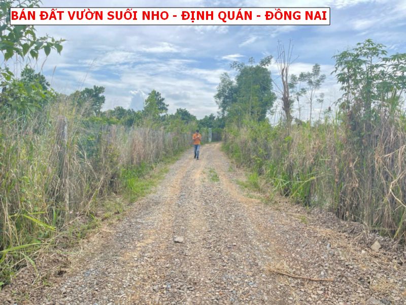 Bán đất vườn Suối Nho – Định Quán giá chỉ 500tr/1000m2