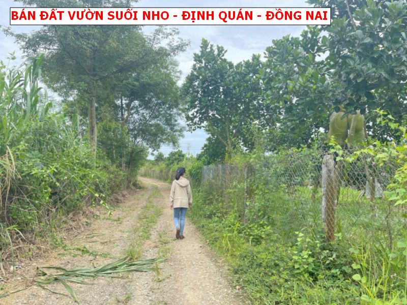 Bán đất vườn Suối Nho – Định Quán giá chỉ 500tr/1000m2