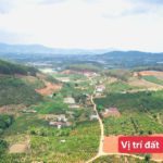 Bán đất Mê Linh, Lâm Hà, Lâm Đồng ven Đà Lạt giá chỉ 550tr