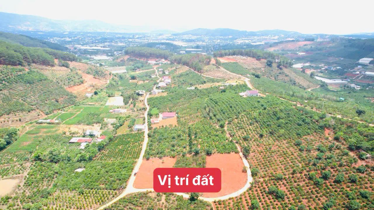 Bán đất Mê Linh, Lâm Hà, Lâm Đồng ven Đà Lạt giá chỉ 550tr