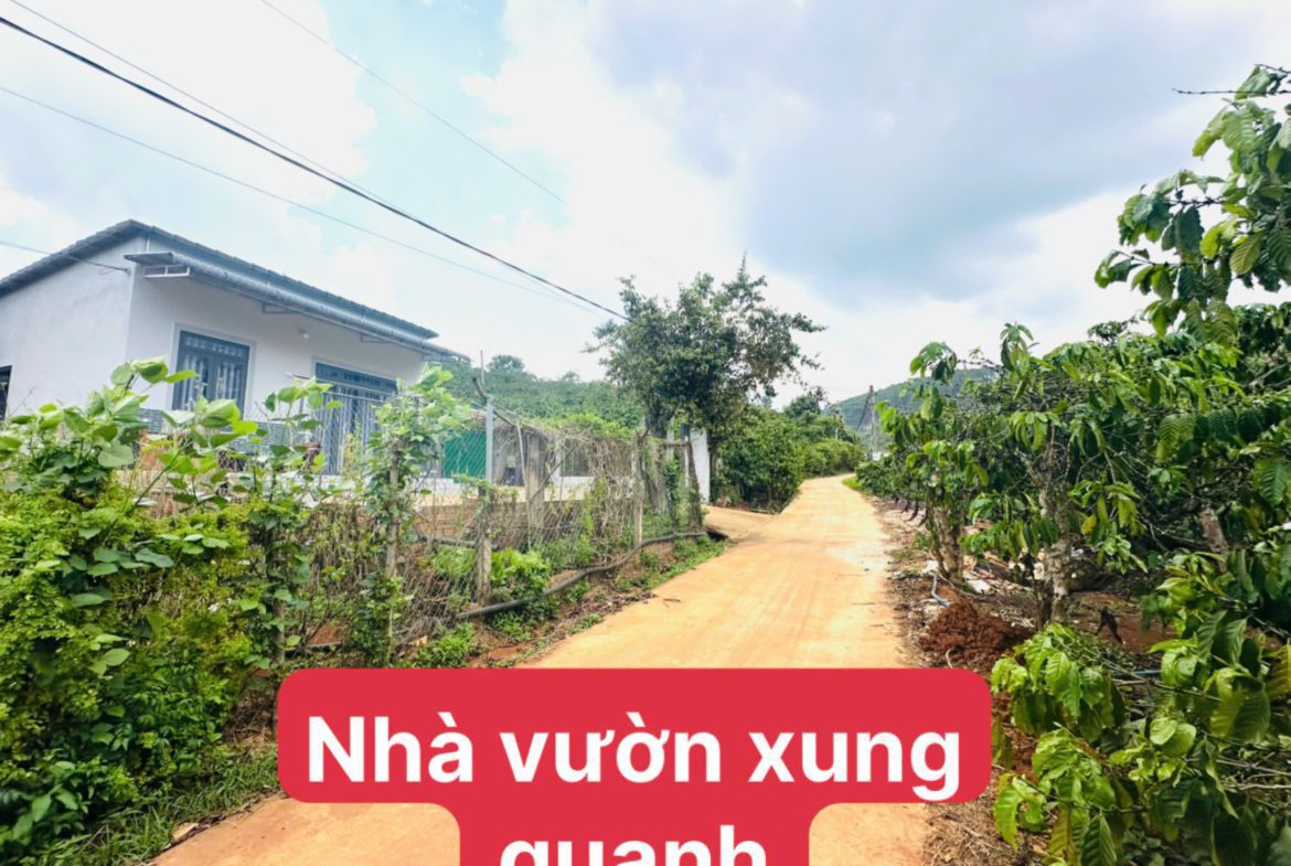 Bán đất Mê Linh, Lâm Hà, Lâm Đồng ven Đà Lạt giá chỉ 550tr