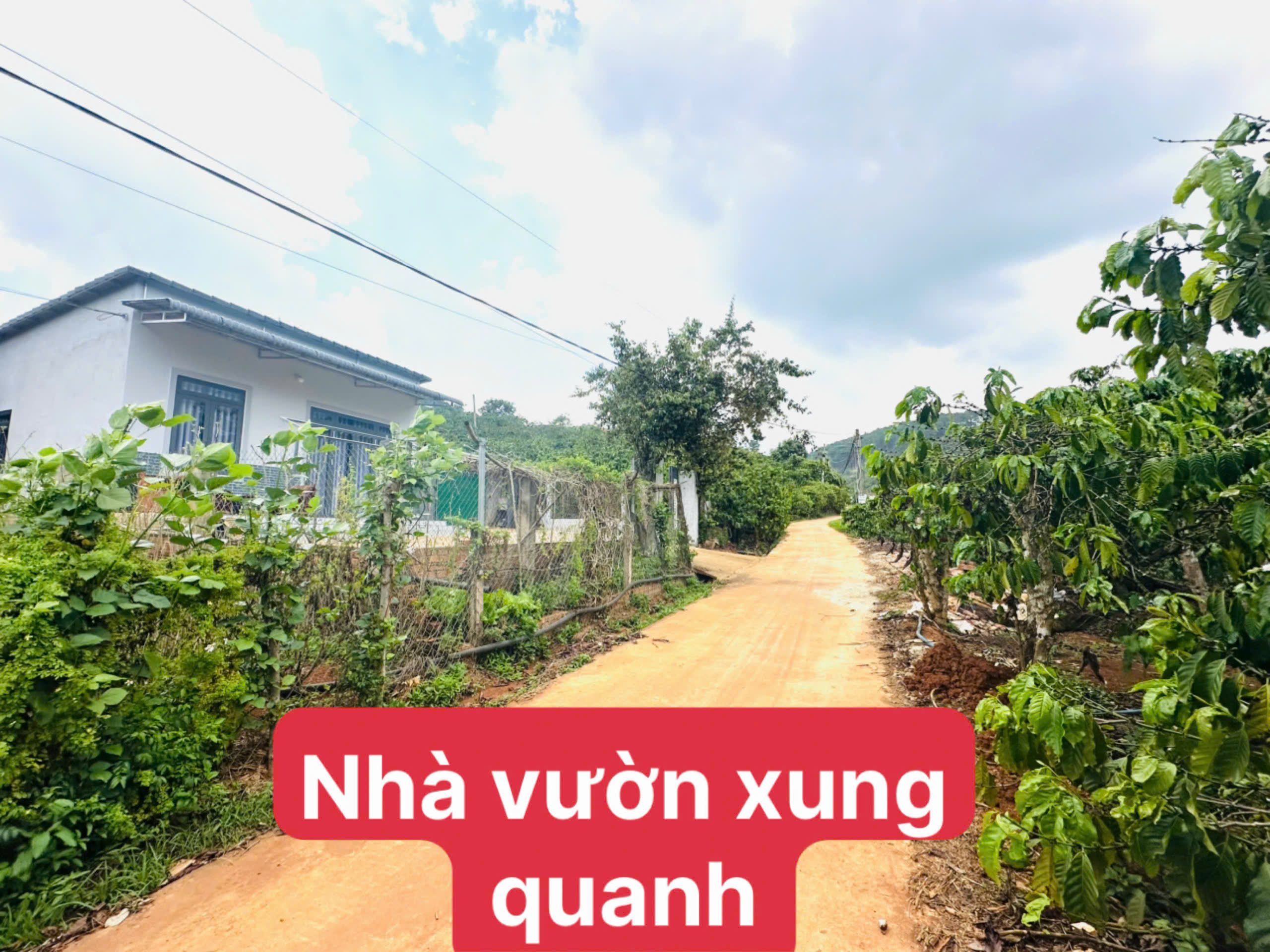 Bán đất Mê Linh, Lâm Hà, Lâm Đồng ven Đà Lạt giá chỉ 550tr
