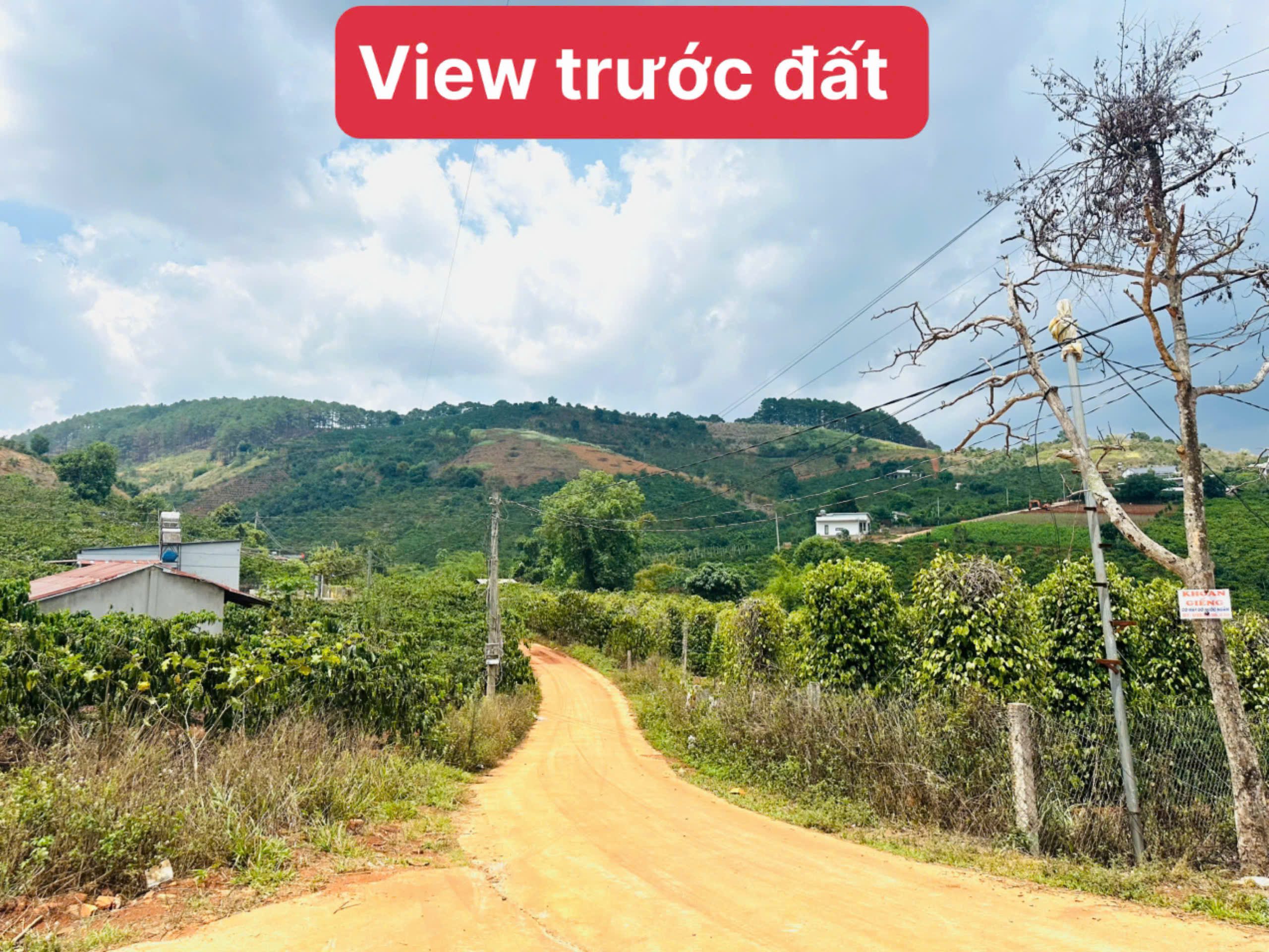 Bán đất Mê Linh, Lâm Hà, Lâm Đồng ven Đà Lạt giá chỉ 550tr