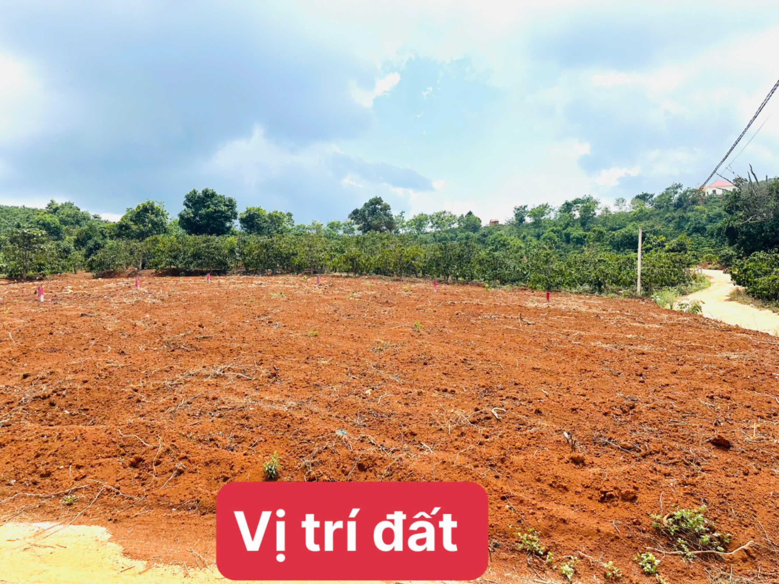 Bán đất Mê Linh, Lâm Hà, Lâm Đồng ven Đà Lạt giá chỉ 550tr