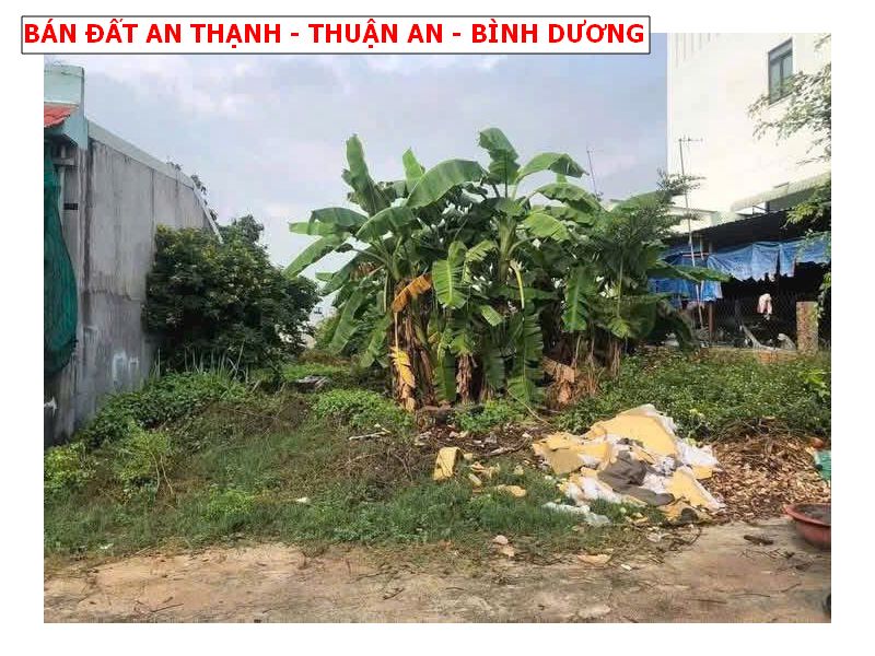 Bán đất An Thạnh – Thuận An, Bình Dương, 100m2 giá chỉ 2,85 tỷ, đường nhựa thông