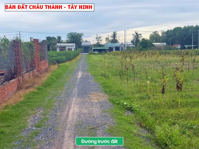 Bán đất Thái Bình, Châu Thành, Tây Ninh giá chỉ 2xxtr