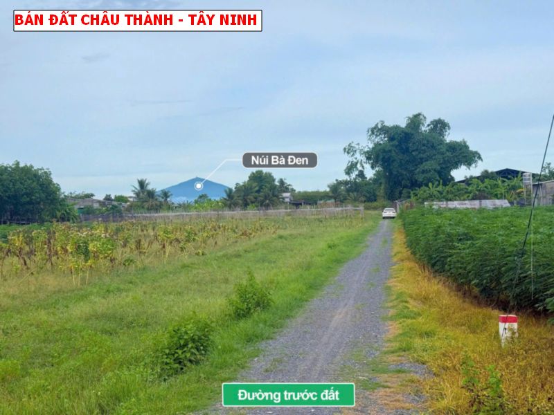 Bán đất Thái Bình, Châu Thành, Tây Ninh giá chỉ 2xxtr