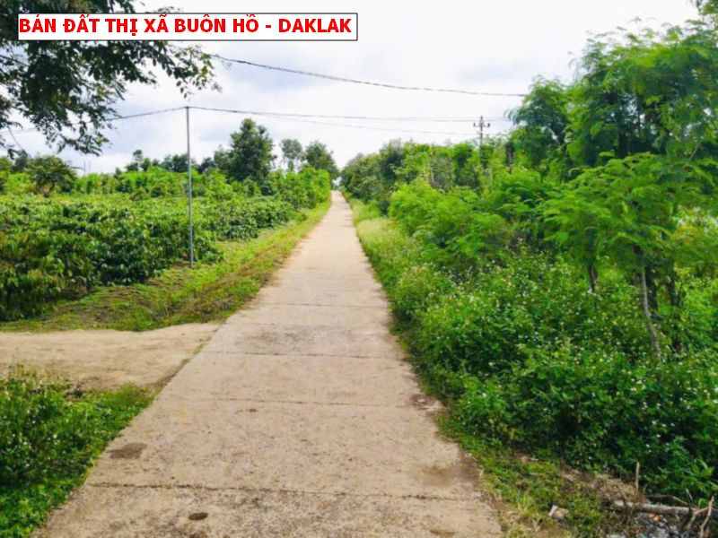 Bán đất thị xã Buôn Hồ – 10 x50 – 2 mặt tiền giá chỉ 3xxtr