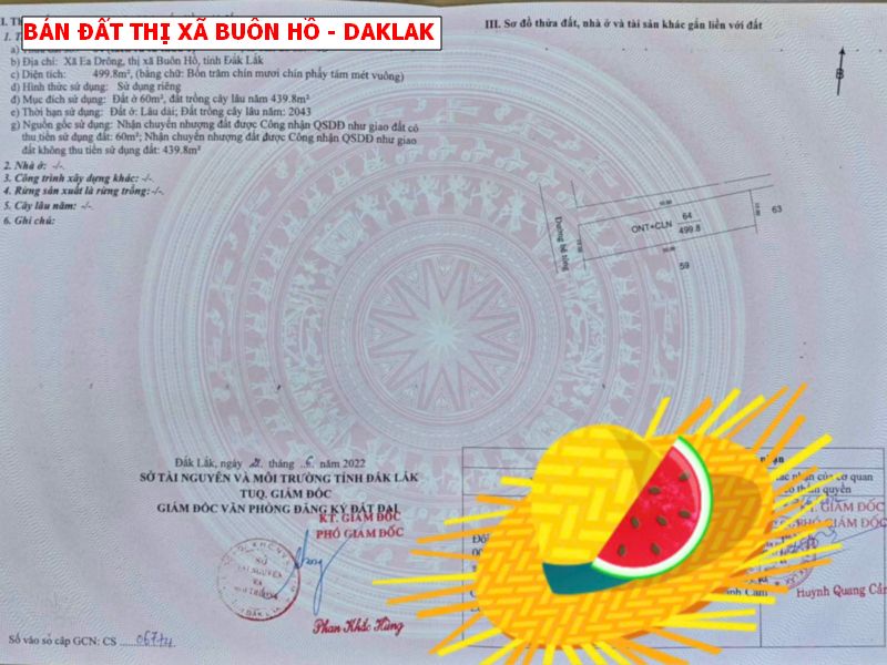 Bán đất thị xã Buôn Hồ – 10 x50 – 2 mặt tiền giá chỉ 3xxtr
