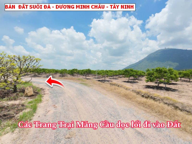 Bán đất vườn Suối Đá – Dương Minh Châu – Tây Ninh chỉ 399tr