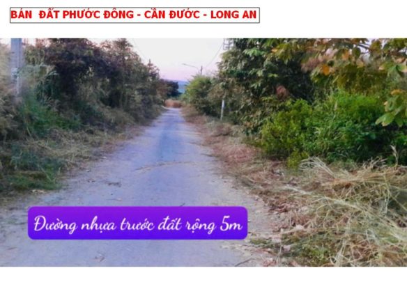 Bán đất Phước Đông, Cần Đước, Long An gần khu công nghiệp Phước Đông