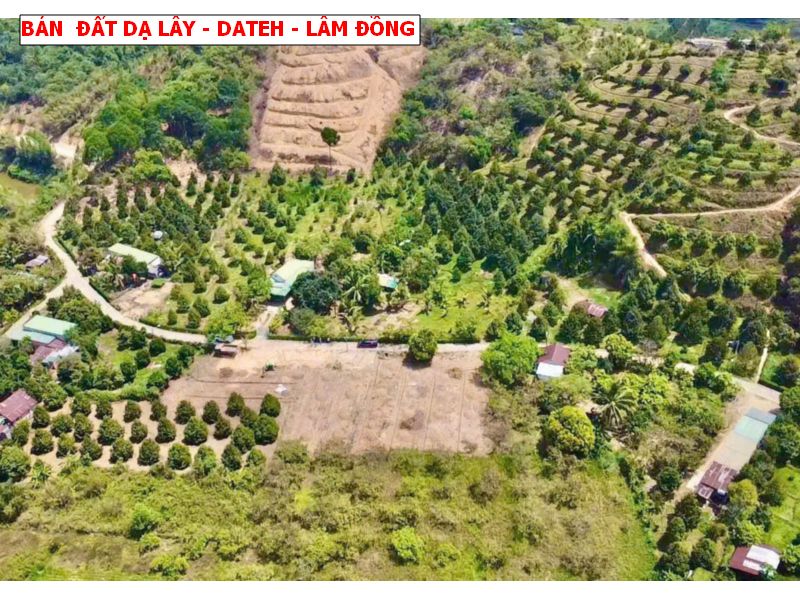 Bán đất Đạ Lây, Đạ Hoai, Lâm Đồng giá chỉ 279tr/ lô