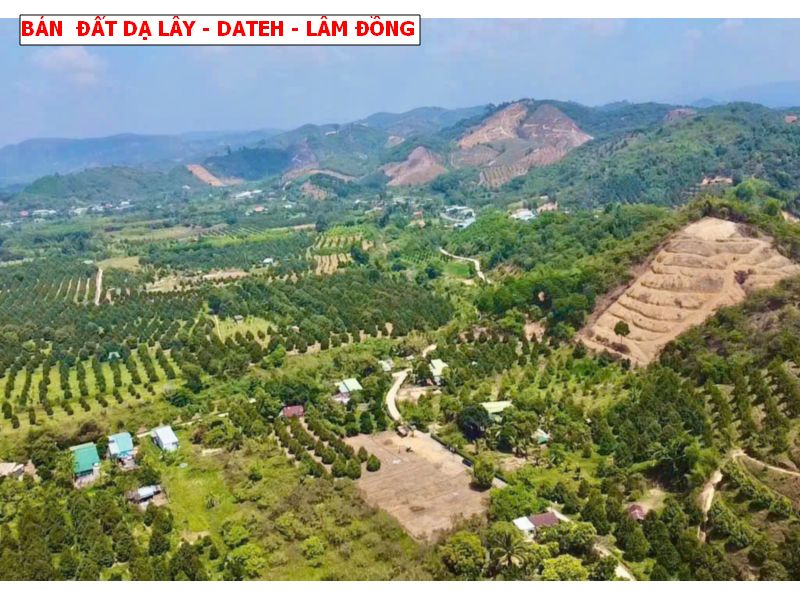 Bán đất Đạ Lây, Đạ Hoai, Lâm Đồng giá chỉ 279tr/ lô
