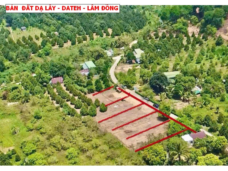 Bán đất Đạ Lây, Đạ Hoai, Lâm Đồng giá chỉ 279tr/ lô